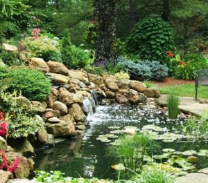 landscape design in Mason, Ohio